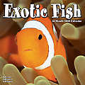 Exotic Fish 2010 Calendar 30407-10