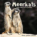 Meerkats 2010 Calendar 30418-10