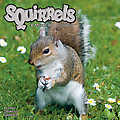 Squirrels 2010 Calendar 30148-10