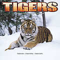 Tigers 2010 Calendar 30130-10