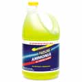 Parsons’ Ammonia All-Purpose Cleaner