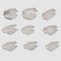 Foam Hinged Lid Carryout Containers