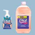 Dial Complete Antibacterial Foaming Hand Wash