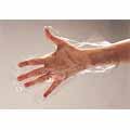 Clear Polyethylene Food Handling Gloves
