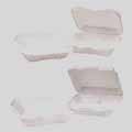 Foam Hinged Lid Carryout Containers
