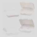 Foam Hinged Lid Carryout Containers