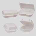 Foam Hinged Lid Snack Container