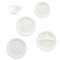 Centerpiece Foam Dinnerware