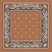 Light Brown Paisley Bandana - Dozen Packed 22x22