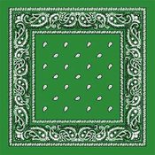 Kelly Green Paisley Bandana