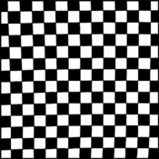 Checkerboard Bandanas - Dozen Packed 22x22