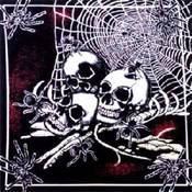 Skull Island - Dozen Packed 22x22