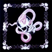 Skull with Snake Bandanas - Dozen Packed 22x22