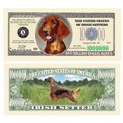 Irish Setter Million Dollar Bill