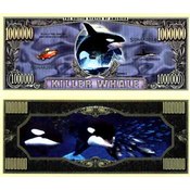 Killer Whale Million $ Bills