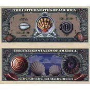 Seashell Sea Shell Shells Million $ Bills