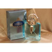 Icy Cold Men's 100ml Perfume