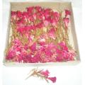 Decoration Harvest Red Artificial Flower