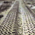 Tire Tracks 12X12 25Ct