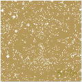 On Our 50Th 12X12 25Ct