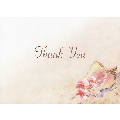 Seashell Thank You Cards