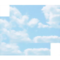 Clouds Trifold Brochure