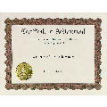 Achievement Stock Certificate