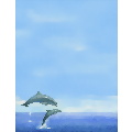 Two Dolphins -Lh50