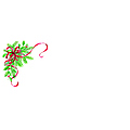 Trimmed Holly #10 Envelopes