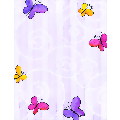 Butterflies Letterhead