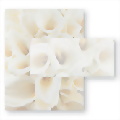 White Calla Lilies Letterhead