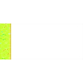 Concentric Circles Envelope #10