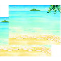 Tropical Tri-fold Brochure 50