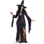 Sorceress Adult Costume