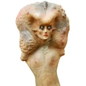 Big Brain Puppet Na46