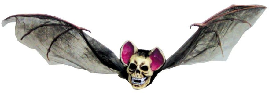 UPC 844646003151 product image for Bat With Skull Head Medium Brown | upcitemdb.com