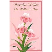 General Mothers Day Assortment