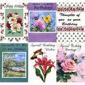 Women's Birthday Card Asstortment