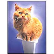 Cute Cat Birthday Card Assortment