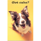Cute Dogs Birthday Card Assortment