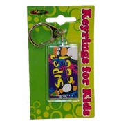 Super Cool Key Ring