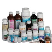 Multi-Vitamin Supplements