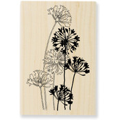Stampendous Wood Mounted Rubber Stamp P-Agapanthus