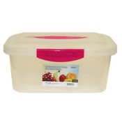 Plastic Storage W Snap-Lock Lid