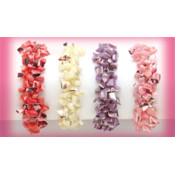 Shell Bracelets(Case of 12)