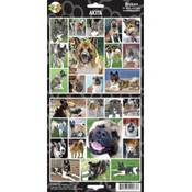 Akita Sticker