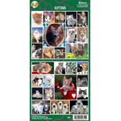 Kittens Sticker
