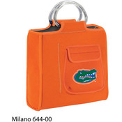 University of Florida Milano