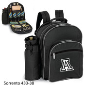 University of Arizona Sorrento