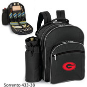 University of Georgia Sorrento
